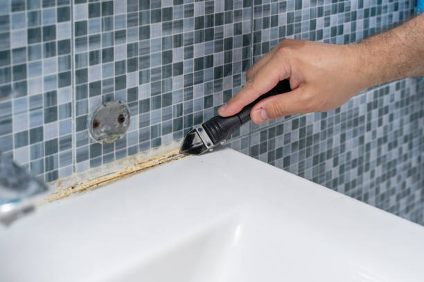 Best Mold Remediation for Schools in Carl Junction, MO